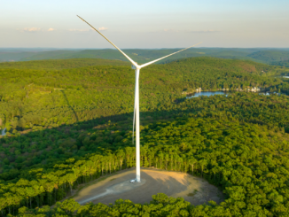 5 Fragen, 5 Antworten: Das solltest Du über Ökostrom wissen