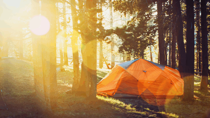 Camping (über Todd Trapani)