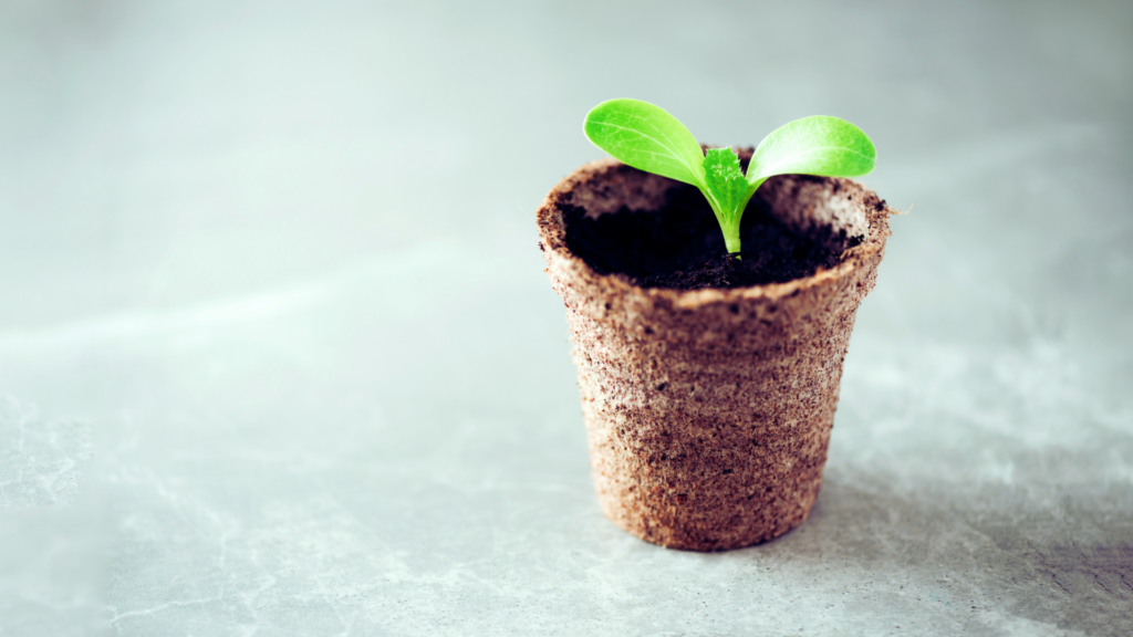 Torffrei gärtnern: Naturschutz beginnt im Garten Torffrei gärtnern: Naturschutz beginnt im Garten