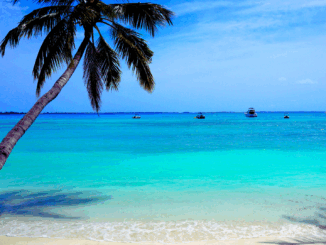 Albtraum Ferienwohnung? So sicherst du deine Rechte bei Schimmel, Doppelabbuchung & Betrug