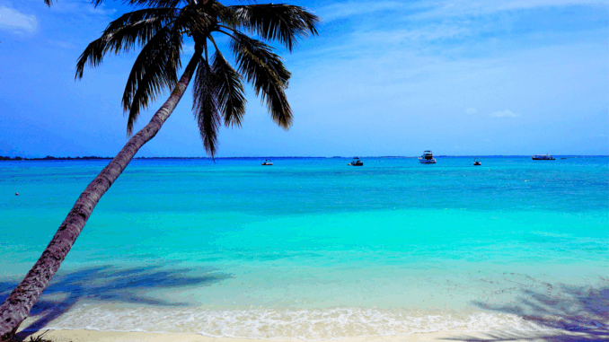 Sonne, Strand und Meer (über AliB)