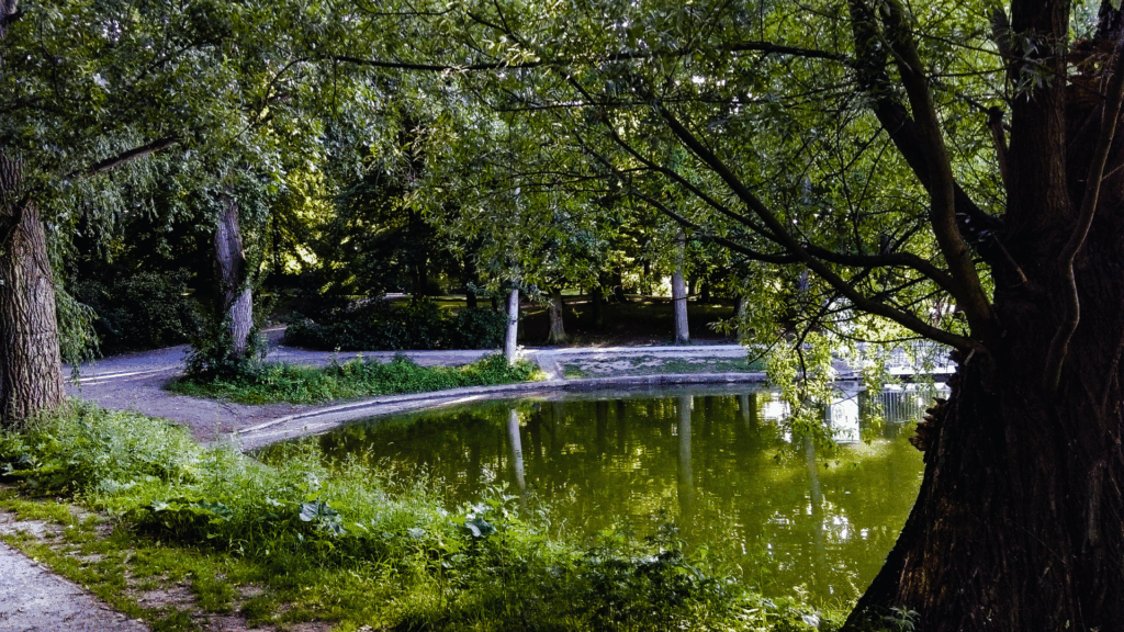 Kommentar: Wo’s am leise(n)sten knallt: Steglitz-Zehlendorf entpuppt sich als heimlicher Lustgarten Berlins