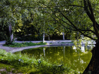 Kommentar: Wo’s am leise(n)sten knallt: Steglitz-Zehlendorf entpuppt sich als heimlicher Lustgarten Berlins