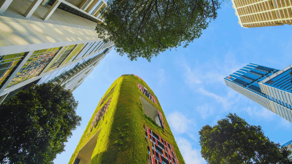 Kommentar: Grünes Rückgrat der Stadt – Warum urbane Gärten unverzichtbar sind