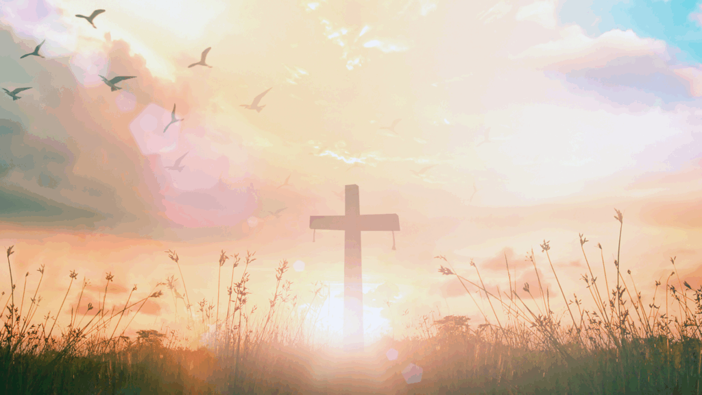 Nach dem Tod eingefroren werden? Was sich Deutsche wirklich für ihr Lebensende wünschen – und warum manche 100 Jahre warten wollen