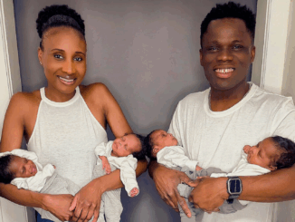 Vierlinge im Frühling – Ein seltenes Wunder der Medizin