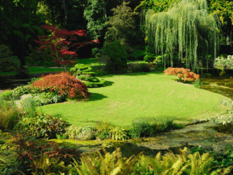 Hausgärten als Treiber nachhaltiger Stadtentwicklung