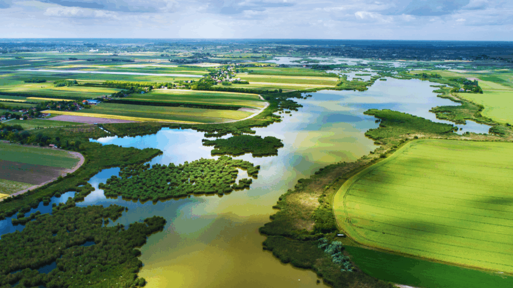 Sechs Jahre „Rettet die Bienen!“ – Zwischenbilanz zeigt Licht und Schatten