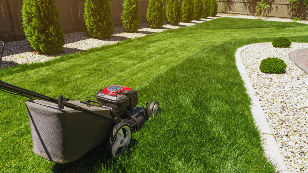 Gut gerüstet für den Winter: Warum die Herbstdüngung für den Rasen so wichtig ist