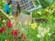 Sommerhitze meistern: So bringst du deinen Garten souverän durch die Trockenzeit
