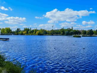 Nürnbergs grüne Oasen: Die schönsten Parks und Gärten für jede Jahreszeit