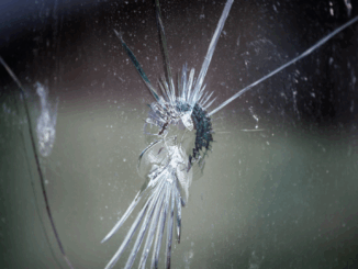 Versicherungen mit Selbstbeteiligung: So sparen Verbraucher Beiträge – ohne auf Leistungen zu verzichten