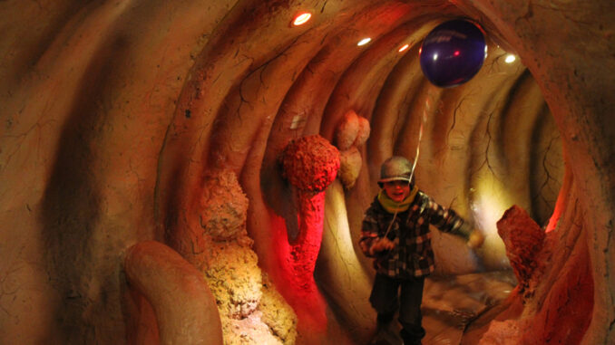 Begehbares Organ (über Kulturidee)