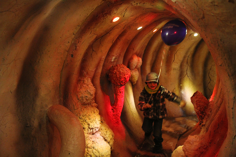 Expedition Körper: Lange Nacht der Wissenschaften am Uniklinikum Erlangen