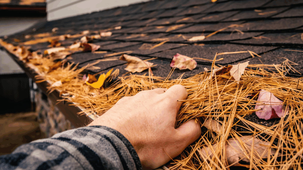 Herbstputz-Checkliste: So machst du dein Zuhause fit für den Winter Herbstputz-Checkliste: So machst du dein Zuhause fit für den Winter