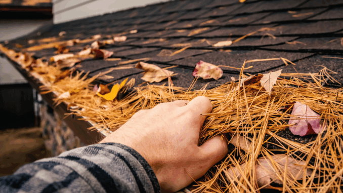 Dachrinnenreinigung (über A&J Fotos)