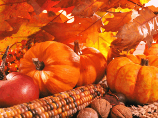 Michaelis-Kirchweih Fürth: Straßensperrungen zum Erntedankfestzug am 12. Oktober 2025