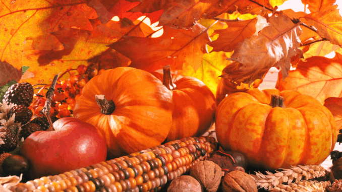 Erntedank (über demarco-media)