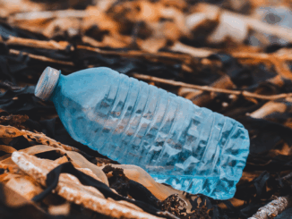 Nürnberg verstärkt Kampf gegen illegale Müllentsorgung