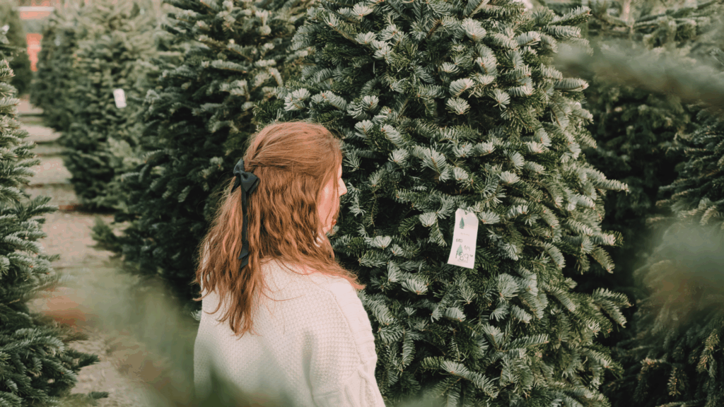 So kommt der Weihnachtsbaum sicher nach Hause So kommt der Weihnachtsbaum sicher nach Hause