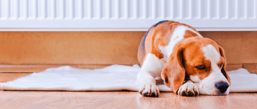 Süddeutschland heizt am wärmsten: In Bayern und Baden-Württemberg liegen die Raumtemperaturen über dem Bundesschnitt