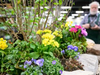 Freizeit Messe 2026 bringt Camping, Reisen und Garten nach Nürnberg