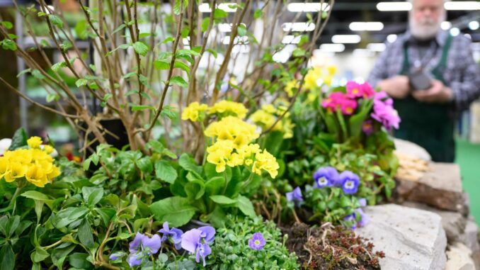 Freizeit Messe 2026 bringt Camping, Reisen und Garten nach Nürnberg