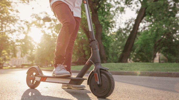 Destatis: Jeder fünfte Haushalt in Deutschland besitzt ein E-Bike – Zahl hat sich verdreifacht