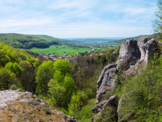 Windräder? Apokalypse! Photovoltaik-Wüsten? Ach was. Der selektivste Naturschutz in der Fränkischen Schweiz