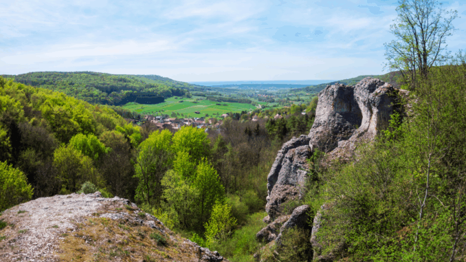 Windräder? Apokalypse! Photovoltaik-Wüsten? Ach was. Der selektivste Naturschutz in der Fränkischen Schweiz