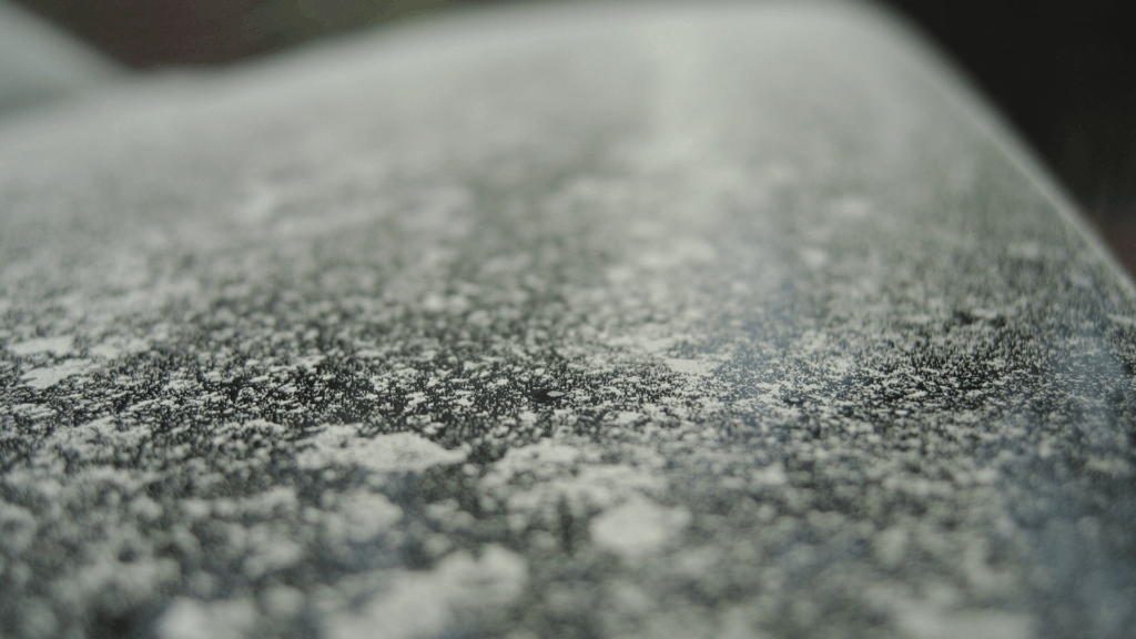 Pollensaison und Auto: Warum Heuschnupfen am Steuer gefährlicher ist als gedacht