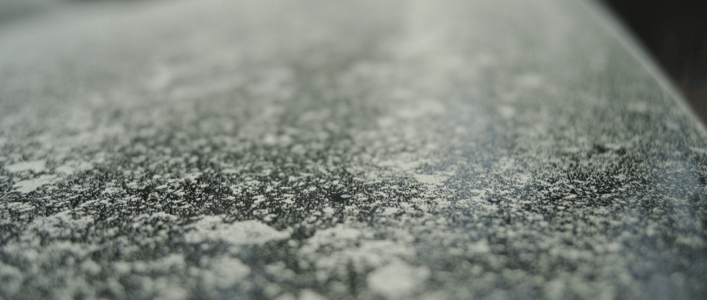 Pollensaison und Auto: Warum Heuschnupfen am Steuer gefährlicher ist als gedacht