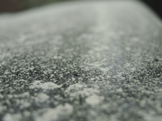 Pollensaison und Auto: Warum Heuschnupfen am Steuer gefährlicher ist als gedacht