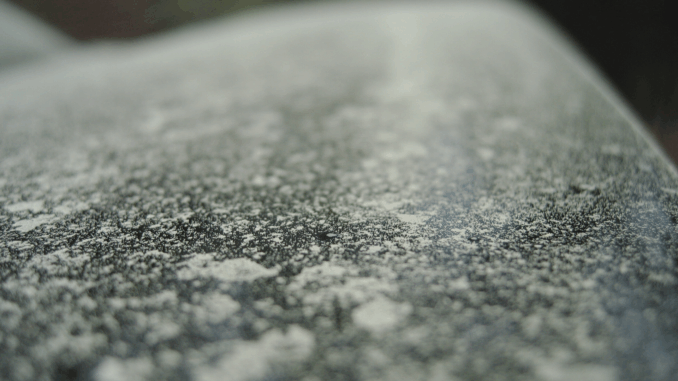 Pollensaison und Auto: Warum Heuschnupfen am Steuer gefährlicher ist als gedacht