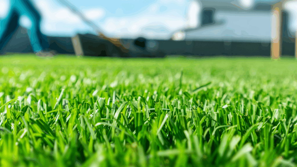 Gartensaison startet: Diese fünf Fehler schaden dem Rasen im Frühjahr am meisten