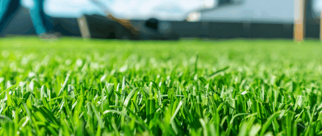 Gartensaison startet: Diese fünf Fehler schaden dem Rasen im Frühjahr am meisten